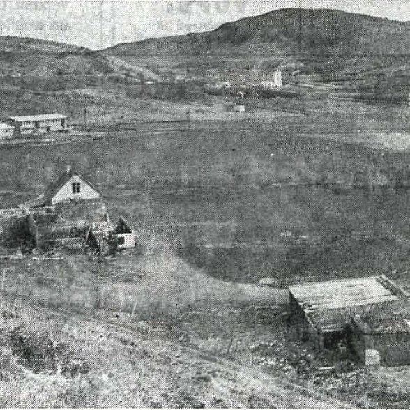 Margt hefur breyst á Mógilsá frá því þessi mynd var tekin 1965. Dýrmætastur er skógurinn sem hefur breytt staðnum úr vindbarinni bújörð í skjólsælan skóg.