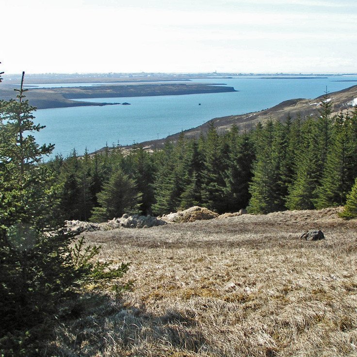 (mynd: Halldór Sverrisson)