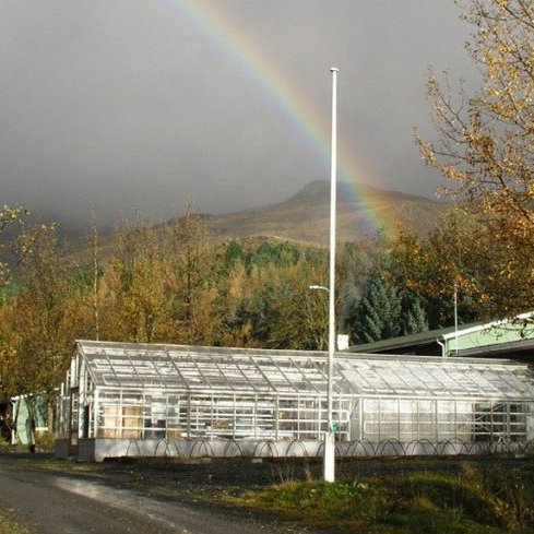 (mynd: Edda S. Oddsdóttir)