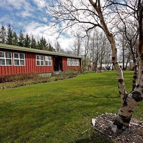 Á dagskrá Fagráðstefnu er m.a. ferð að Mógilsá. Mynd: Brynja Hrafnkelsdóttir.