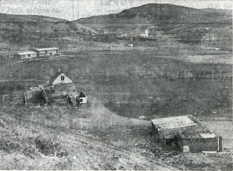 Margt hefur breyst á Mógilsá frá því þessi mynd var tekin 1965. Dýrmætastur er skógurinn sem hefur breytt staðnum úr vindbarinni bújörð í skjólsælt skóglendi og rannsóknarsvæði.