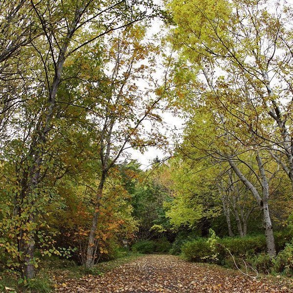 (mynd: Hrafn Óskarsson)