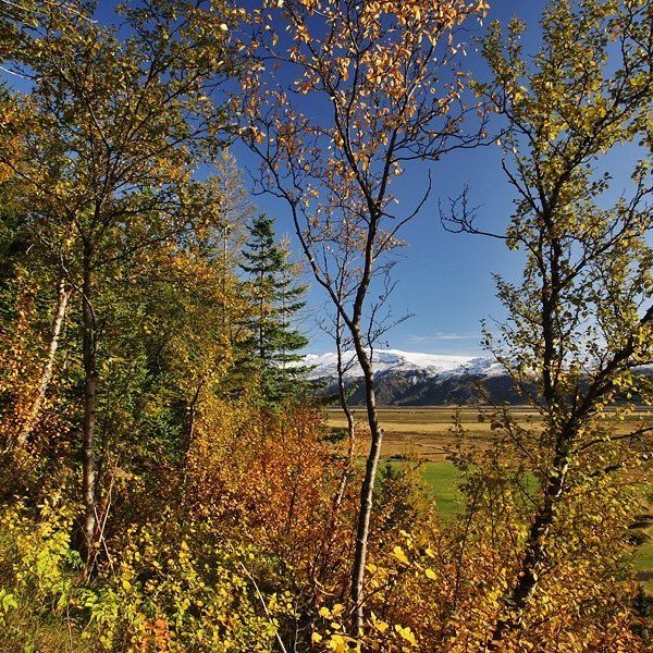 (mynd: Hrafn Óskarsson)