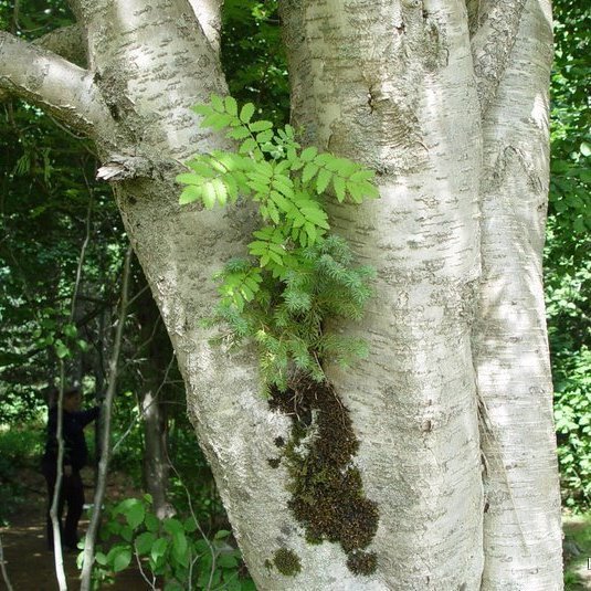 (mynd: Hreinn Óskarsson)