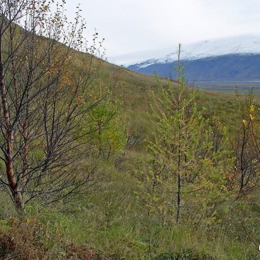 (mynd: Hreinn Óskarsson)