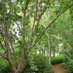 (mynd: Hreinn Óskarsson)