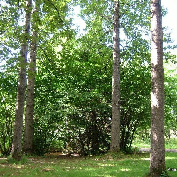 (mynd: Hreinn Óskarsson)