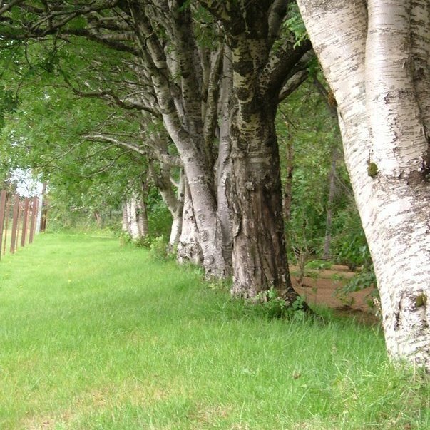 (mynd: Hreinn Óskarsson)