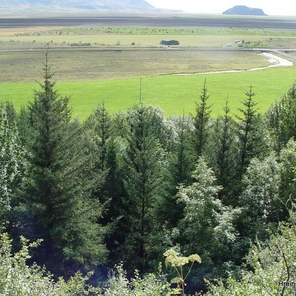 (mynd: Hreinn Óskarsson)