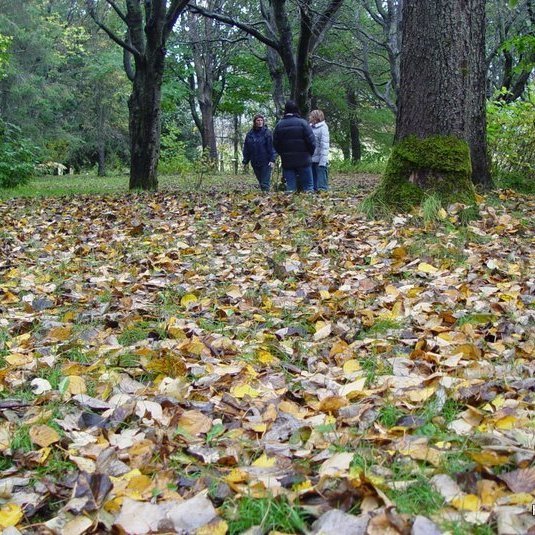 (mynd: Hreinn Óskarsson)