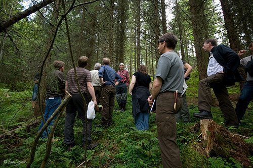 Hlustað á Svein Flaat