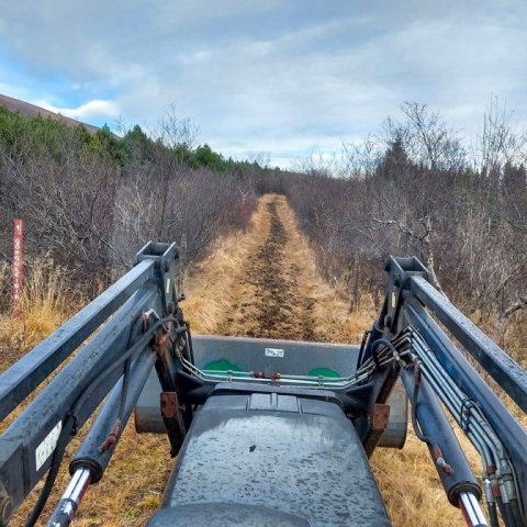 Eldri leiðir voru sléttaðar með herfinu til að bæta aðstæður til göngu. Ljósmynd: Ægir Freyr Hallgrímsson