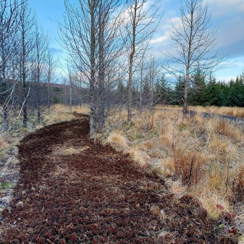 Ljúft verður að renna á sléttlendinu þarna í skjóli aspanna. Ægir Freyr Hallgrímsson
