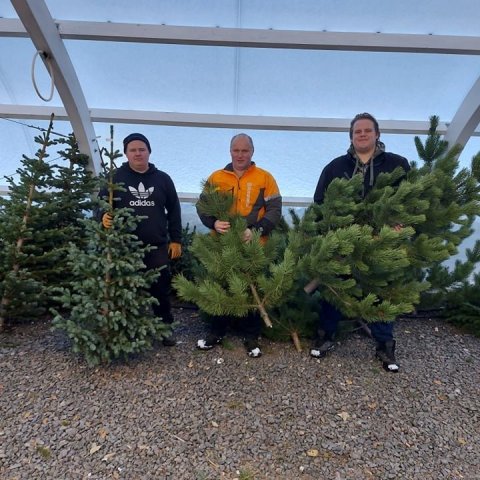 Og alíslensk jólatré fengu líka að vera með í fagnaðarlátunum á Vöglum Fnjóskadal