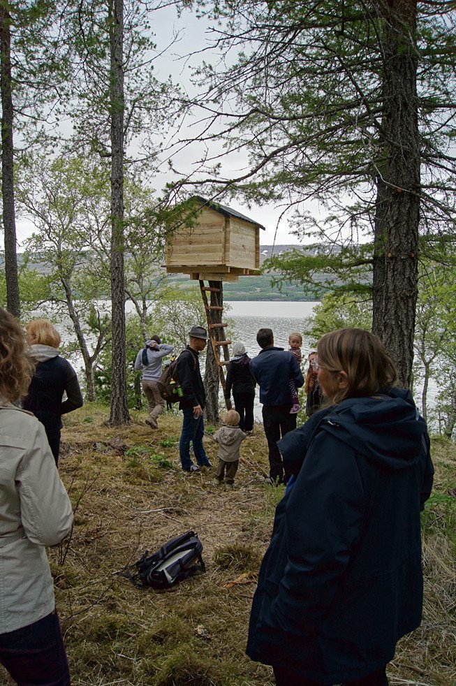 Óskatré framundan.