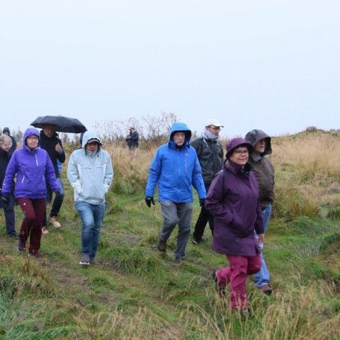 Gengið að tilraunasvæði í Hrosshaga Biskupstungum. Ljósmynd: Pétur Halldórsson