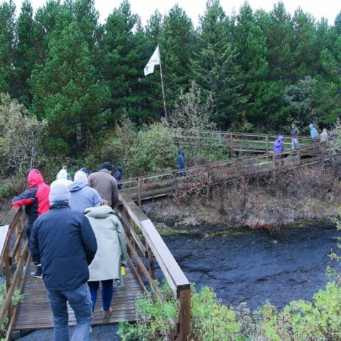 Gengið inn í skóginn í Sandártungu Þjórsárdal. Ljósmynd: Pétur Halldórsson