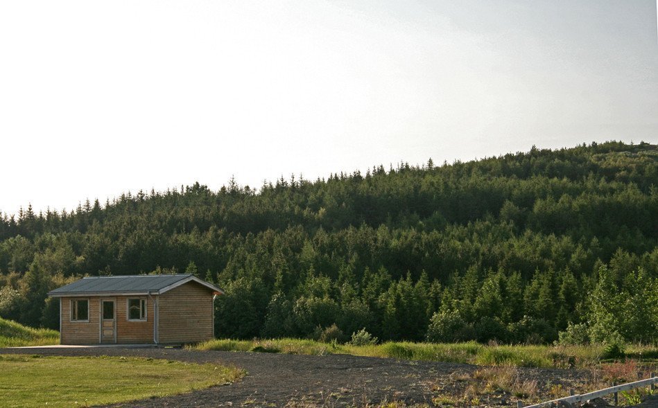 Við knattspyrnuvöll við Reykjarhólsskóg