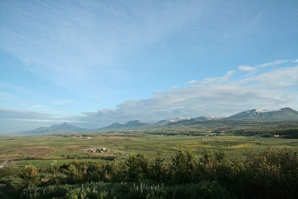 Útsýni er gott af gönguleið í skóginum