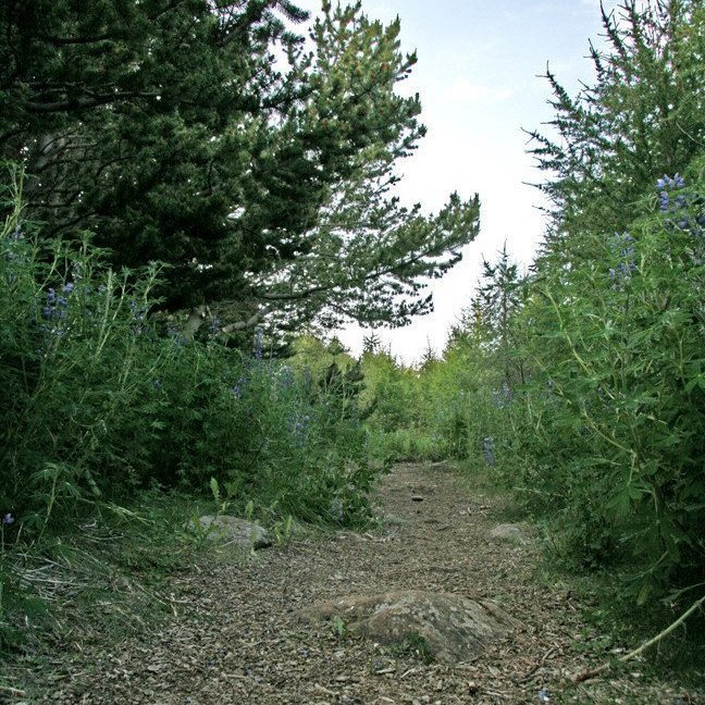 (mynd: Esther Ösp Gunnarsdóttir)