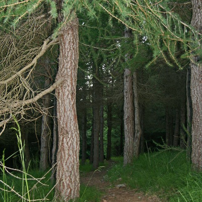 (mynd: Esther Ösp Gunnarsdóttir)