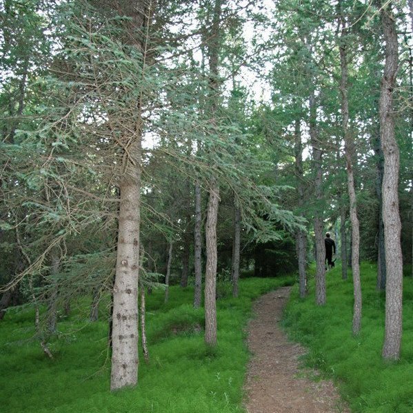 (mynd: Esther Ösp Gunnarsdóttir)