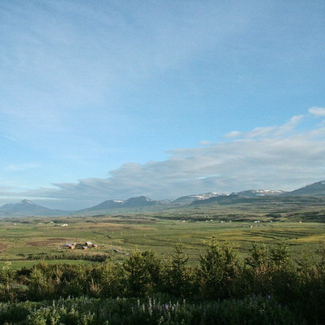 (mynd: Esther Ösp Gunnarsdóttir)