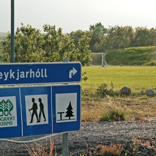 (mynd: Esther Ösp Gunnarsdóttir)