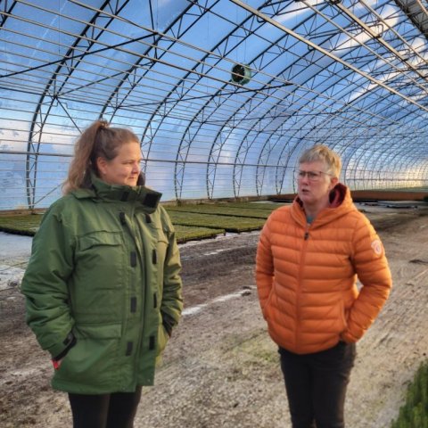 Úr kynnisferðinni í Sólskóga. Ljósmynd: Hrefna Jóhannesdóttir