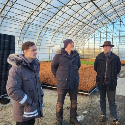 Úr kynnisferðinni í Sólskóga. Ljósmynd: Hrefna Jóhannesdóttir