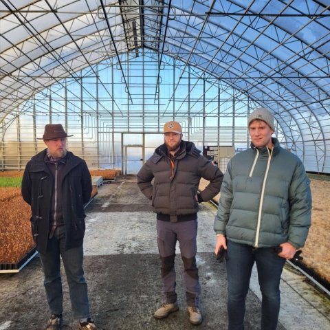 Úr kynnisferðinni í Sólskóga. Ljósmynd: Hrefna Jóhannesdóttir