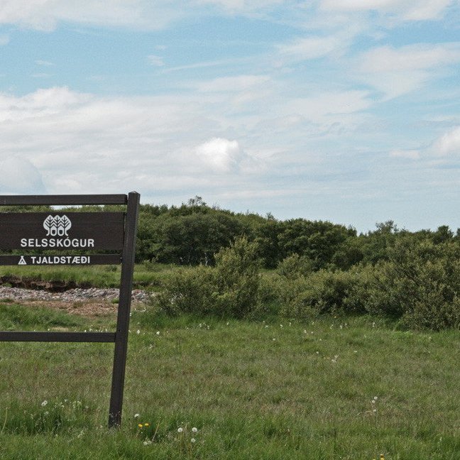 (mynd: Esther Ösp Gunnarsdóttir)