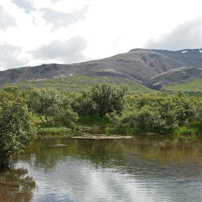 (mynd: Esther Ösp Gunnarsdóttir)