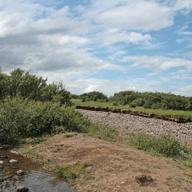 (mynd: Esther Ösp Gunnarsdóttir)