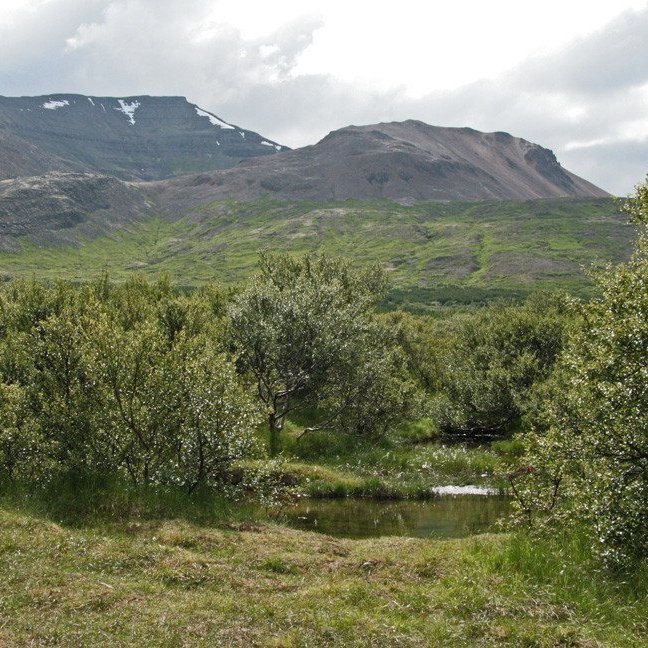 (mynd: Esther Ösp Gunnarsdóttir)