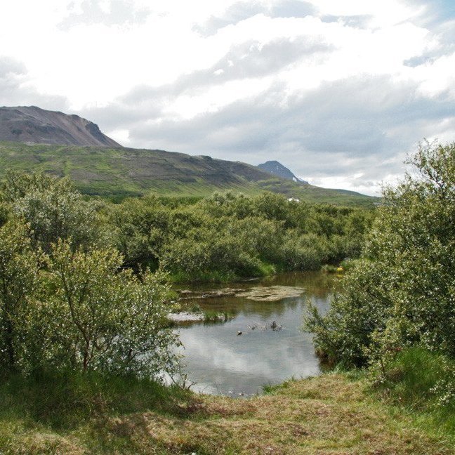(mynd: Esther Ösp Gunnarsdóttir)