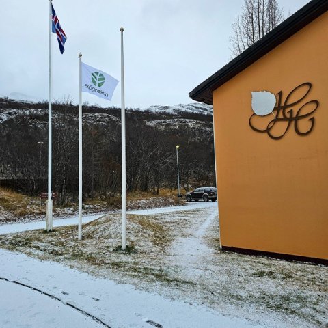 Fáni Skógræktarinnar blakti við hún ásamt þeim íslenska í síðasta sinn á starfsmannafundi stofnunarinnar..