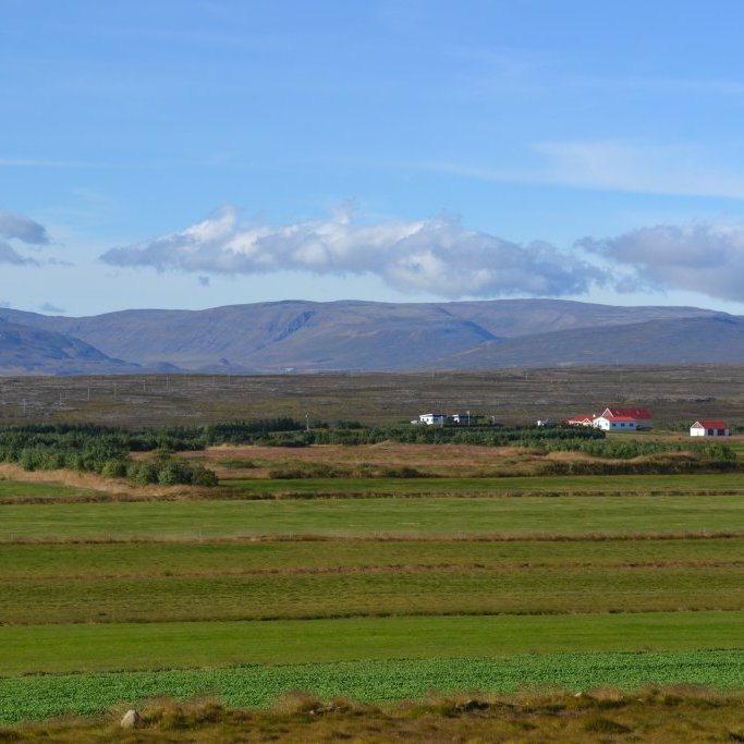 Vígholtsstaðir í Dalabyggð eru dæmi um bújörð þar sem skjólbelti eru notuð til að efla bújörðina. Ljósmynd: Guðmundur Sigurðsson