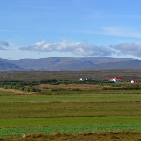 Vígholtsstaðir í Dalabyggð eru dæmi um bújörð þar sem skjólbelti eru notuð til að efla bújörðina. Ljósmynd: Guðmundur Sigurðsson