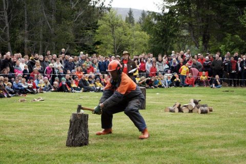 Skógardagurinn mikli 2011