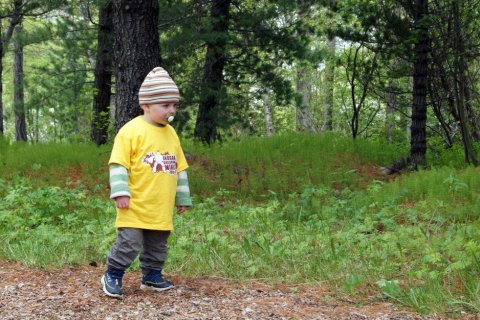 Skógardagurinn mikli 2011