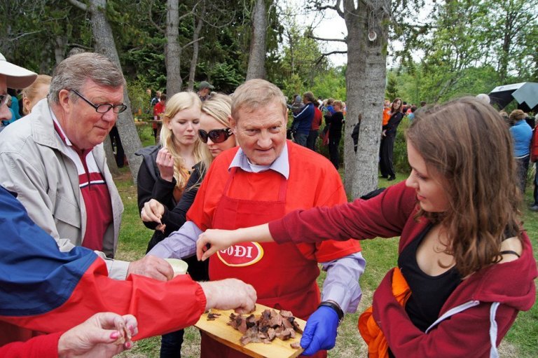Skógardagsgestir smakka á heilgrilluðu nauti.