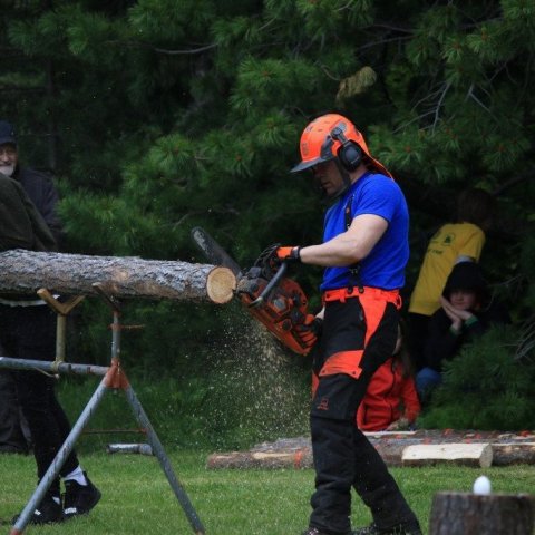 Skógarhöggskeppnin