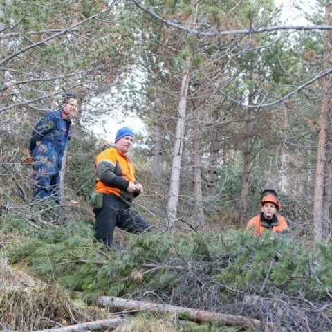 Teitur og Valgeir Davíðssynir ásamt Brynjari Skúlasyni innan um fallegar skógarfurur á Vöglum Þelamörk í nóvember 2018. Ljósmynd: Pétur Halldórsson.jpg