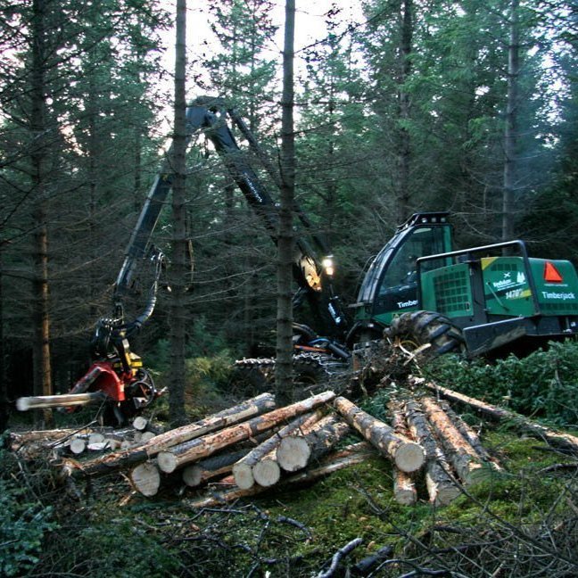 skogarhoggsvel-a-stalpastodum-12