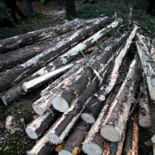 skogarhoggsvel-a-stalpastodum-18