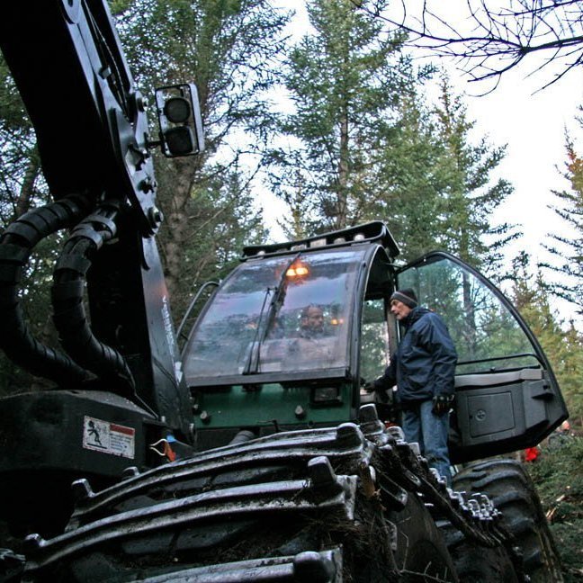 skogarhoggsvel-a-stalpastodum-19