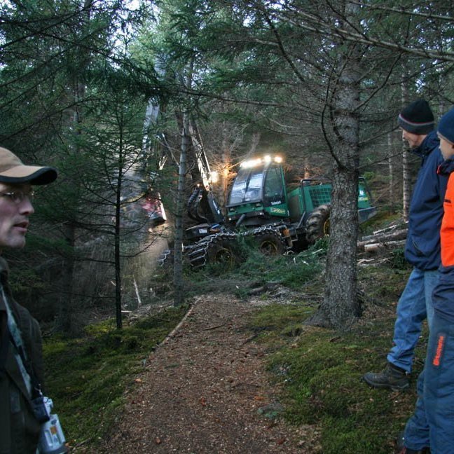 skogarhoggsvel-a-stalpastodum-4