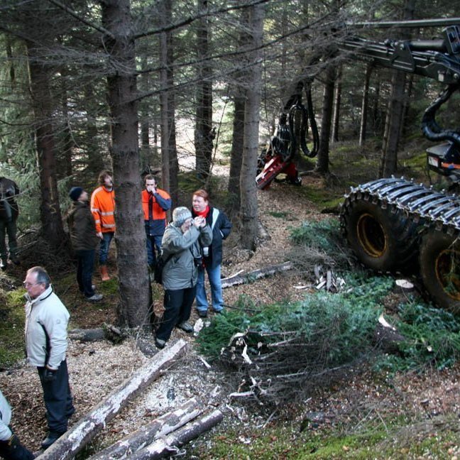 skogarhoggsvel-a-stalpastodum-21