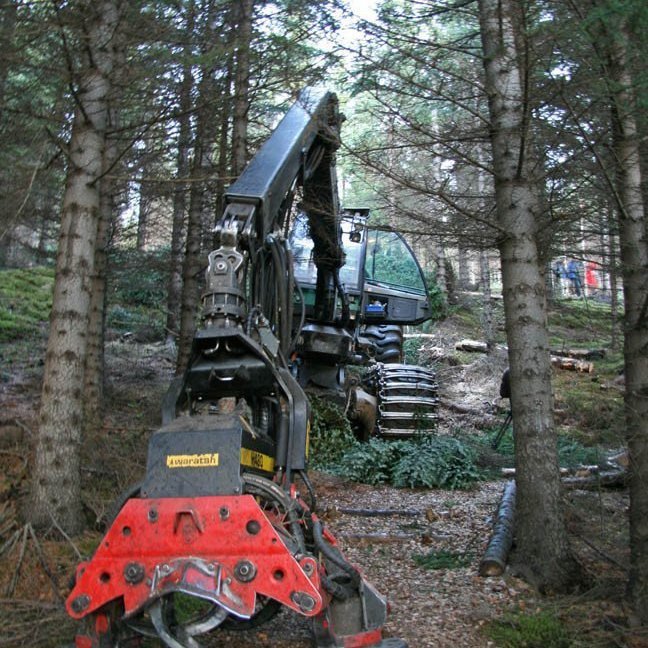 skogarhoggsvel-a-stalpastodum-3